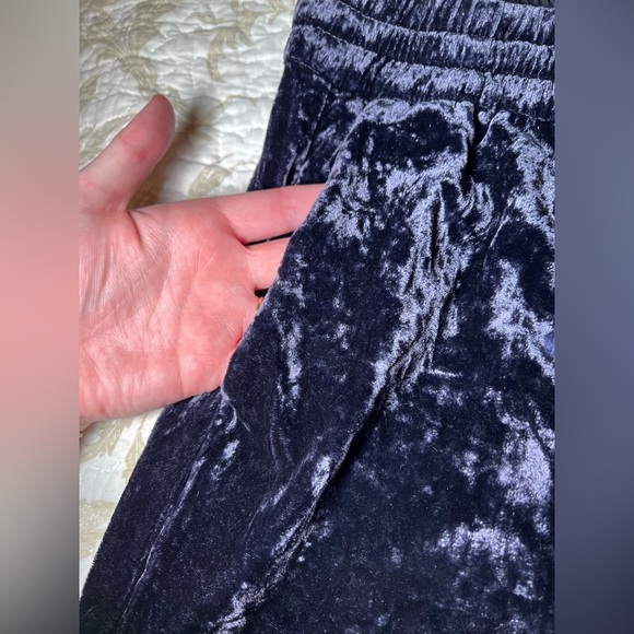 J Crew Crushed Velvet Velour Pants Joggers, size 4 RetroGlam - Picture 4 of 12